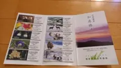 知床斜里駅 入場券
