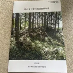 周山4号墳発掘調査報告書 2025年