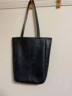 Item thumbnail for item a76a7288-87e5-4e73-8052-70ca45e4edfa