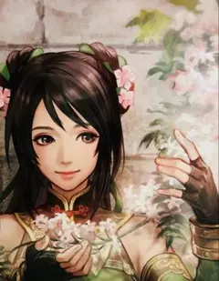 真 三国無双 英傑伝 トレジャーボックス ロングポスターコレクション 関銀屏
