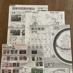 2025年最新】サピックス 理科 ポスターの人気アイテム - メルカリ