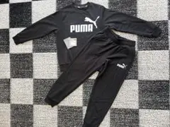 PUMAビッグロゴスウェットセット