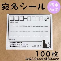 宛名シール 防水加工 大きめ 100枚 お買い得 猫 ネコ 枠あり RSY-7