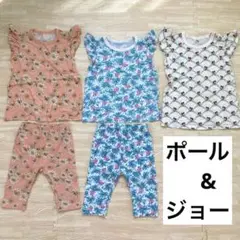 ユニクロ　ポール&ジョー　セットアップ90 100 花柄　猫　半袖　パンツ