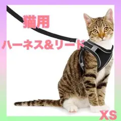 Item thumbnail for item 05c1cddb-efa5-4a13-b545-c36ce38def33