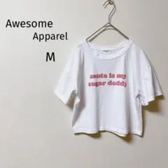 オーサムアパレル　Tシャツ　クロップド丈　ドルマン　韓国　シンプル　ロゴT M