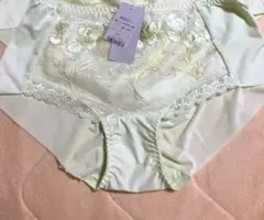 定価6000円 天使のブラ トリンプ ショーツ L 2枚