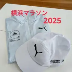 Item thumbnail for item 49b606d7-de42-4590-b721-15446a2744da