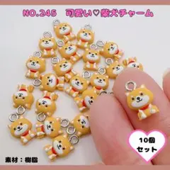 No.245 可愛い♡柴犬チャーム 20個セット♡