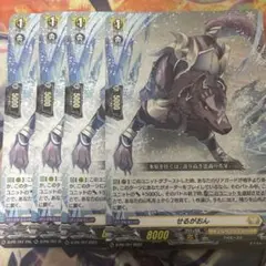 せるがおん 4枚セット