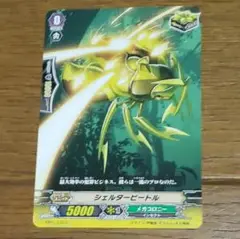 ヴァンガード シェルタービートル