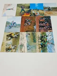 仮面ライダーV3カード10枚
