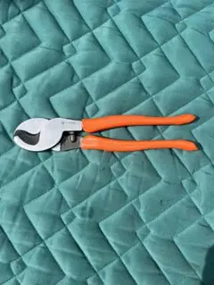 Item thumbnail for item 5e1b61c5-247a-4a55-ae7d-1913c98f6004