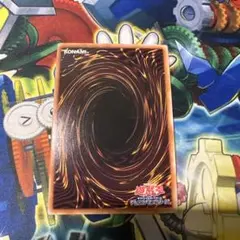 専用出品