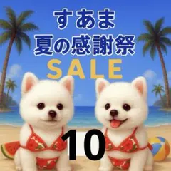 ✨夏の感謝祭セール✨パネル【Ｎｏ．10】