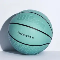 TIFFANY × SPALDINGバスケットボール ティファニーブルー 楽天市場】ティファニー × スポルディング バスケットボール