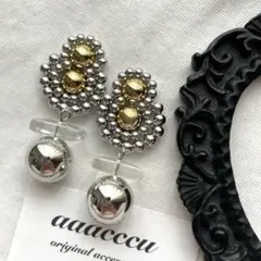 ▫︎▪︎1922025▪︎▫︎silver×goldピアス/aaacccu