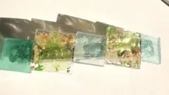 送料無料！かすみ草 グリーン バレッタ