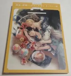 冊子のみ ドラマCD 俺達は新婚さんかもしれない３ ハネムーン編
