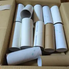 Item thumbnail for item f2cf95fc-0ee3-486c-86e2-b5a623296e70