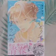 どうせ、恋してしまうんだ 2