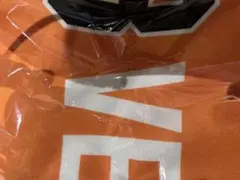長嶋茂雄さんフォーエバータオル