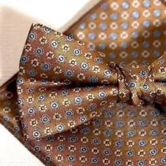 Item thumbnail for item bbc5a10e-b36b-41fd-9cf4-4fbcb6d34fb2