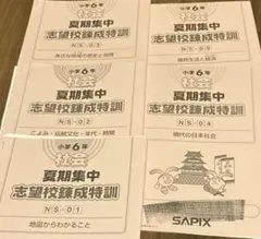 SAPIXサピックス 6年夏期集中志望校錬成特訓