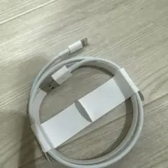 未使用 ホワイト Lightningケーブル USB-A