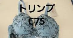 Item thumbnail for item 533124bb-2f83-43b7-b5b2-4c8a906c04bc