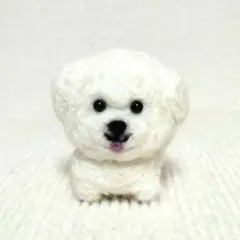 ビションフリーゼ