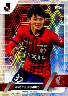 Item thumbnail for item 6df842b7-7955-4e99-b49a-1a9053ac090d