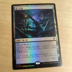 湿った墓　foil