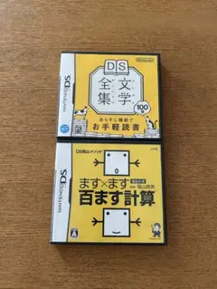 DSソフト　２本