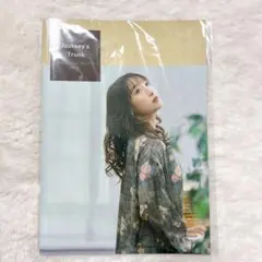 南條愛乃　ジャーニーズ・トランク　パンフレット