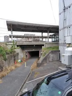 Item thumbnail for item a611c6ea-66b6-44ef-95e4-bb0d37a1ff13