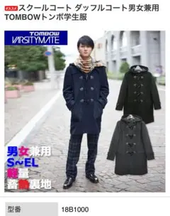 Item thumbnail for item c7137396-838b-43b7-ade1-ed21c73b65e2