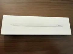 Apple Pencil (USB-C) A3085 美品