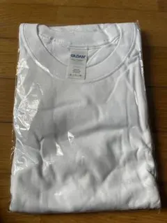 Item thumbnail for item 8795fe13-57bb-4846-b09b-e593c90d03ec