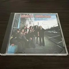 CD Lynyrd Skynyrd レーナード スキナード 国内盤 美品