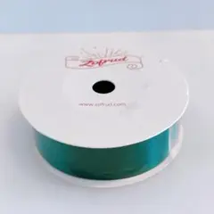 Item thumbnail for item ef4df2c4-6bb6-439d-a550-3711476e9720