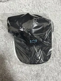 Item thumbnail for item 656d90ff-669d-4612-ae34-e8bca142f4df