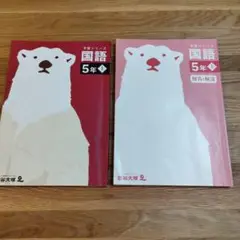 【予習シリーズ】 5年 国語 解説付き