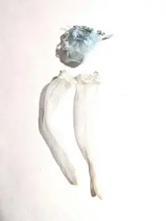 Item thumbnail for item 5512e4ee-9adf-4483-b890-7b3a437bb274