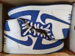 NIKE TERMINATOR HIGH ホワイト/ゲームロイヤル