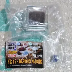2025年最新】鉱物標本 ガチャの人気アイテム - メルカリ