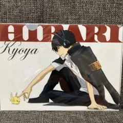 家庭教師ヒットマンREBORN! クリアファイル 雲雀恭弥