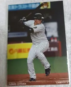 大山悠輔　RAFFLE ラッフル　阪神タイガースくじ　プロマイド