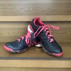 adidas golf シューズ