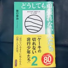 どうしても頑張れない人たち 宮口幸治